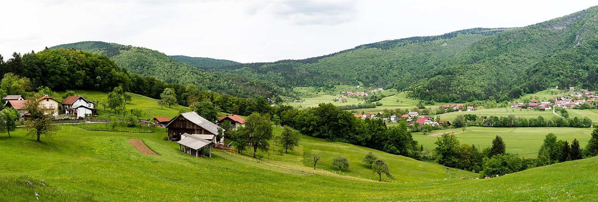 Brezovica