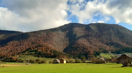 Pogled na Krimšček - Andrej Klemenc
