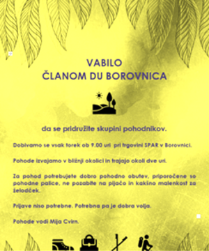 Pohod DU Borovnica