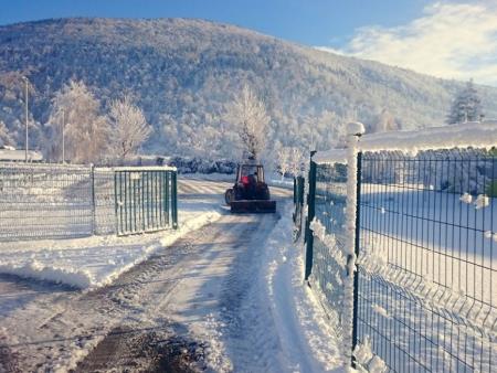 PRVI LETOŠNJI SNEG: MALO PADAVIN, A VELIKO NESTRPNOSTI! 2