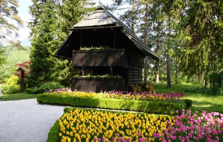 Mozirski-gaj_arboretum-Slovenija_Mozirje_Savinjska-dolina_Slovenija_photo-Mozirski-gaj