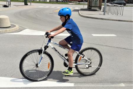 IMG_20240525_122441_1