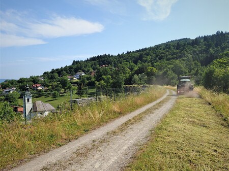 Mulčenje